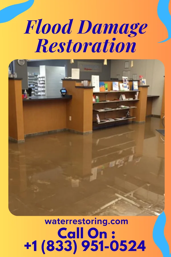 Flood Damage Restoration in Gunnison, MS