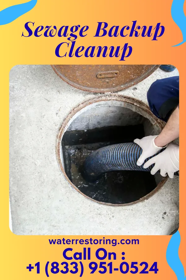 Sewage Backup Cleanup in Gunnison, MS