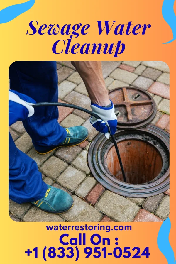 Sewage Water Cleanup in Gunnison, MS